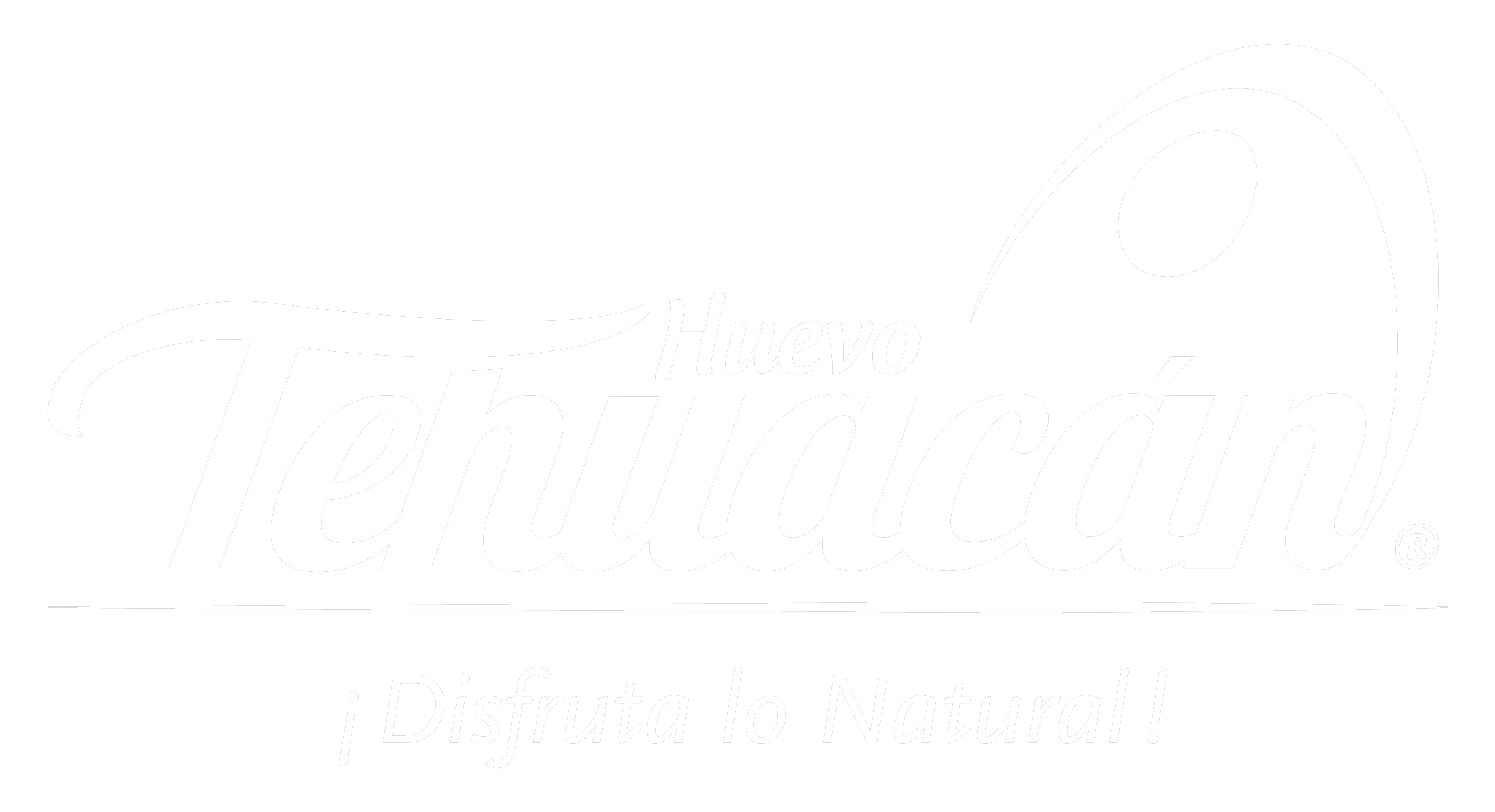 Huevo Tehuacán